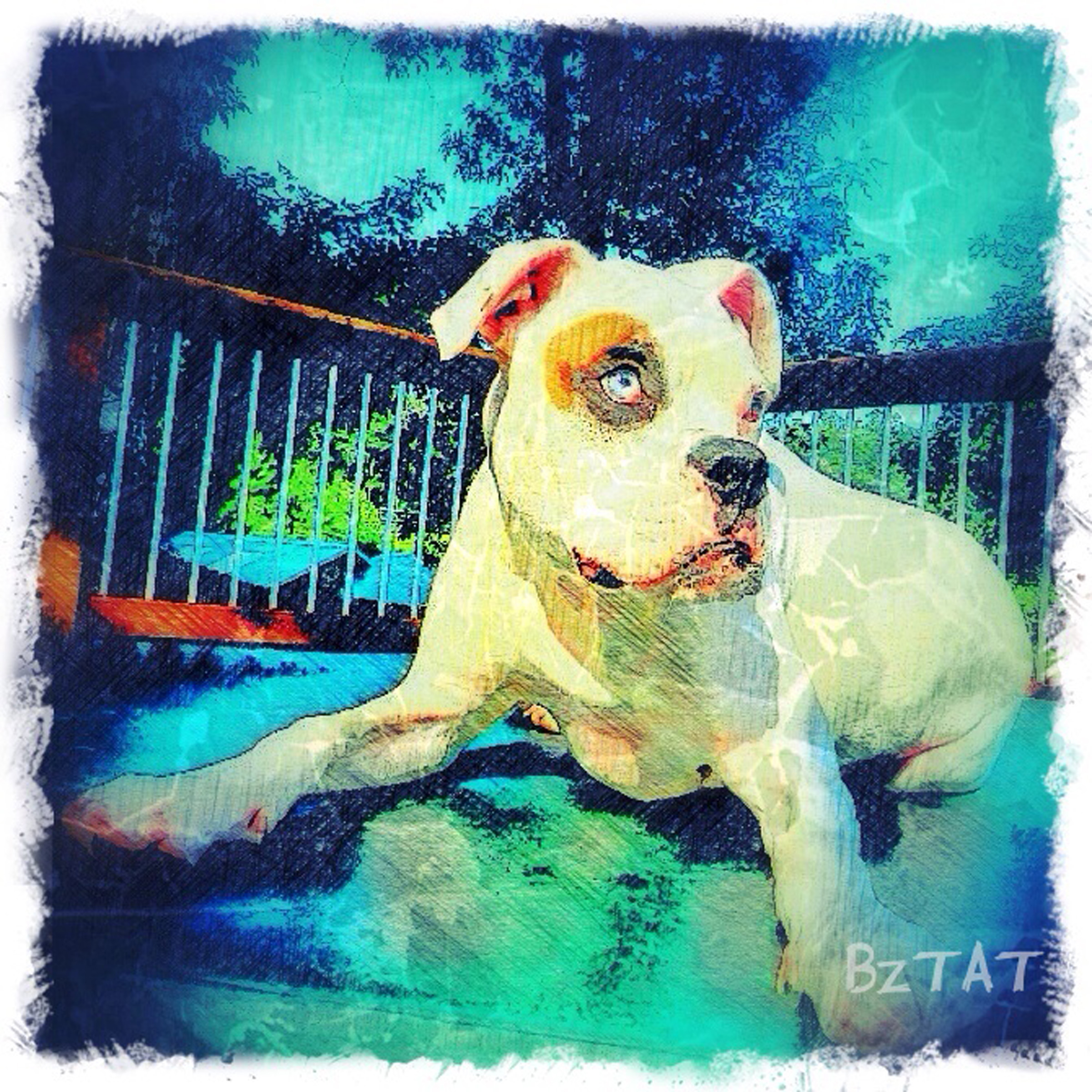 4-Digital-pet-portrait-dog-art-calendar-BZTAT