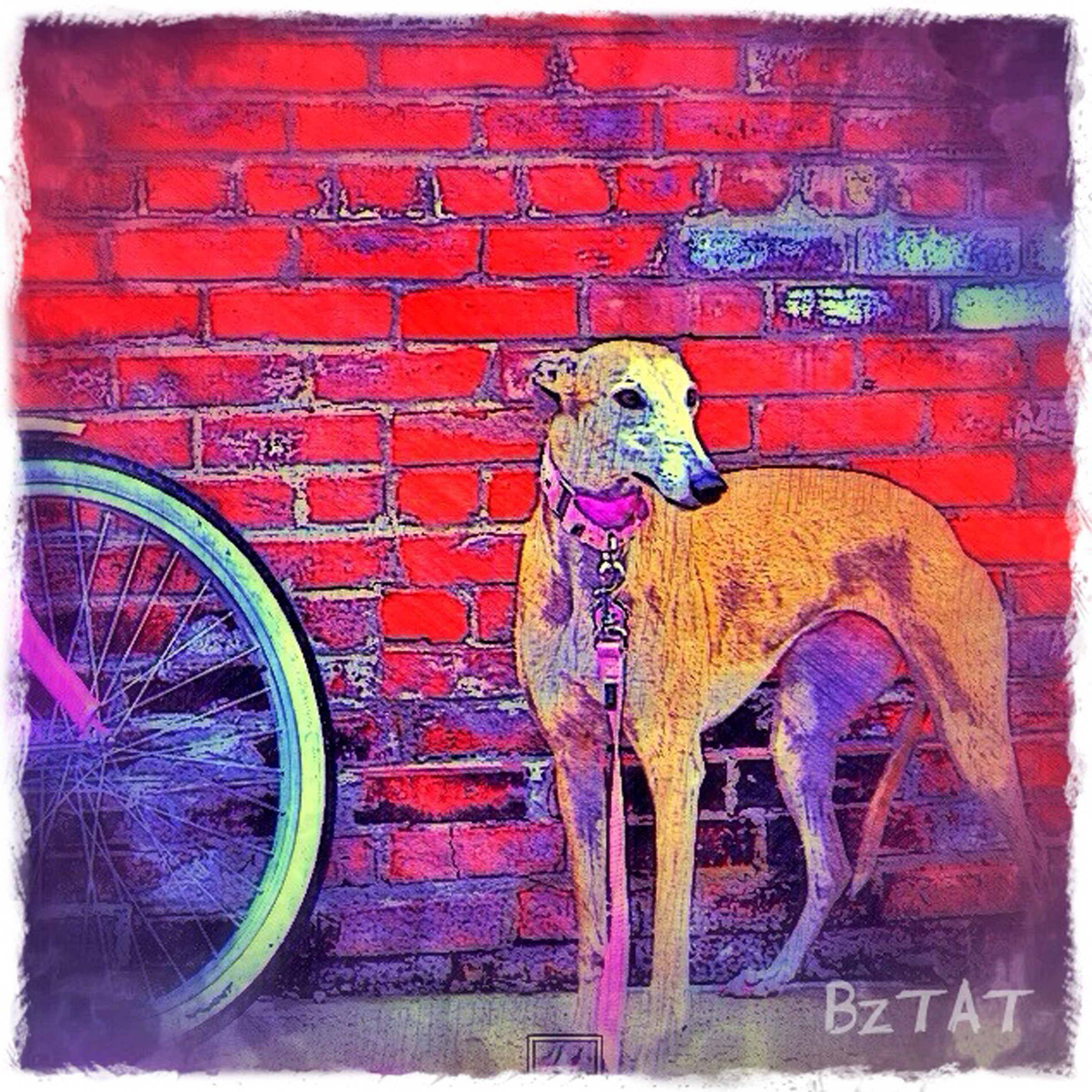 7-Digital-pet-portrait-dog-art-calendar-BZTAT