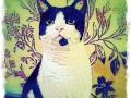 Black-White-Cat-Digital-Portrait-BZTAT