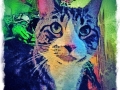 Tabby-cat-digital-pet-portrait-BZTAT