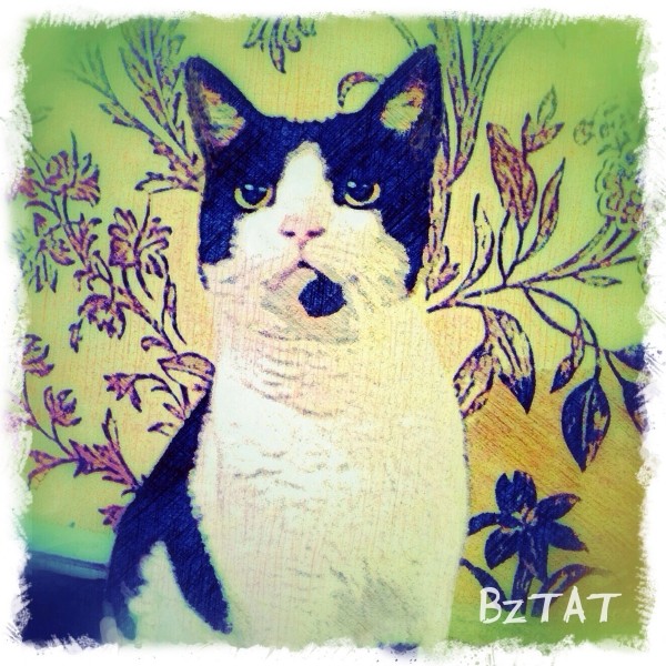 Custom Digital Pet Portrait by BZTAT