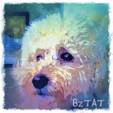 Custom Digital Pet Portrait by BZTAT