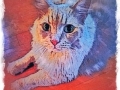 Cat Portrait 2018 Calendar