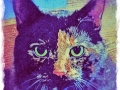 Cat Portrait 2018 Calendar