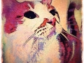 Cat Portrait 2018 Calendar