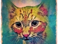 Cat Portrait 2018 Calendar