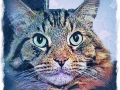 Cat Portrait 2018 Calendar