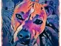 Dog Portrait 2018 Calendar