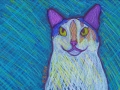 Calico-white-cat-drawing-BZTAT-LR