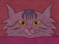 Gray-Tiger-Striped-Cat-LR