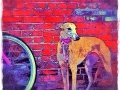 Custom-digital-pet-portrait-BZTAT-11-LR