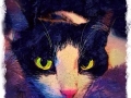 Custom-digital-pet-portrait-BZTAT-42-LR