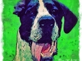 Custom-digital-pet-portrait-BZTAT-8-LR
