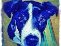 black-white-labrador-retriever-mix-dog-digital-portrait-BZTAT-LR