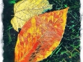 Fall Leaves