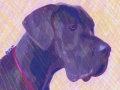 20. Great Dane Drawing Card (Blank Inside)