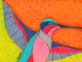 22. Hummingbird Card Drawing Card (Blank Inside)