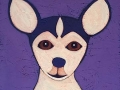 "Chihuahua"