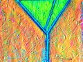 "Martini Orange"